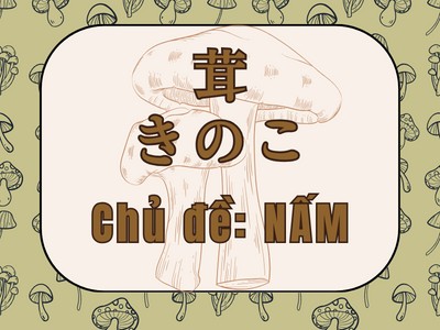 Từ vựng tiếng Nhật chủ đề NẤM